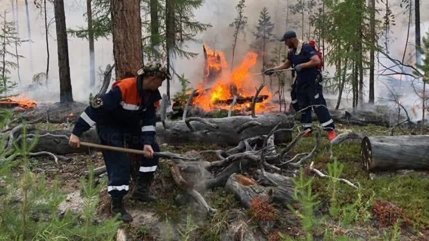 Фото - В России стало гореть больше лесов